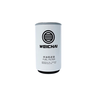 SINOTRUK HOWO SHACMAN Peças Filtros Industriais Substituição para Weichai WP12 Motor Ano 2006-