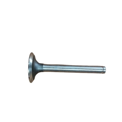 Melhor escolha T3142A051 D-37 válvula de escape para FOTON Auman cor original