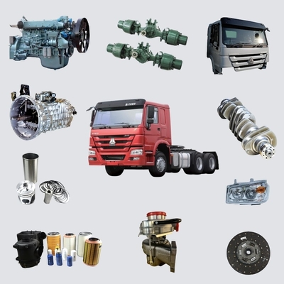 OE N.O. 1000549569 WEICHAI WP13 Selo da válvula para substituição/reparação