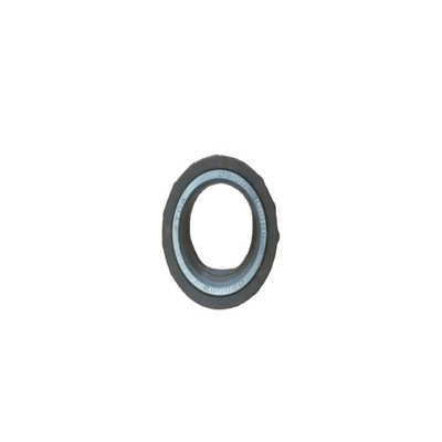 DS100-1701085 ROLLER BEARING para Foton Truck Parts 2020 e oferta